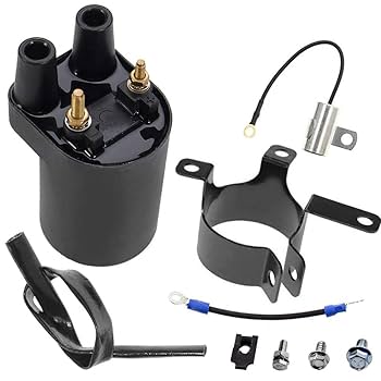 Amazon.com: 166-0772 Ignition Coil for Onan Points Models BF